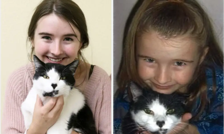 While Volunteering at an Animal Shelter, a Teen Discovers Her Long-Lost Childhood Cat