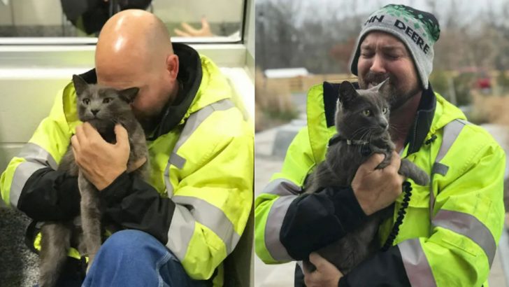 Truck Driver Reunites with Beloved Cat in New York After Five-Month Separation in Ohio.fat